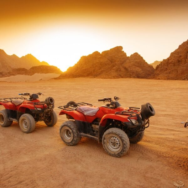 Safari Excursions Joe sharm Travel (8)