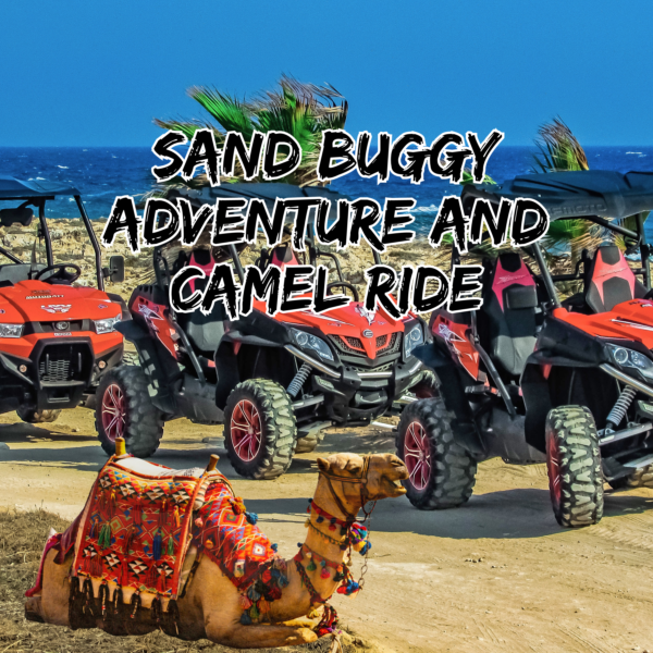 Sand Buggy adventure and Camel Ride