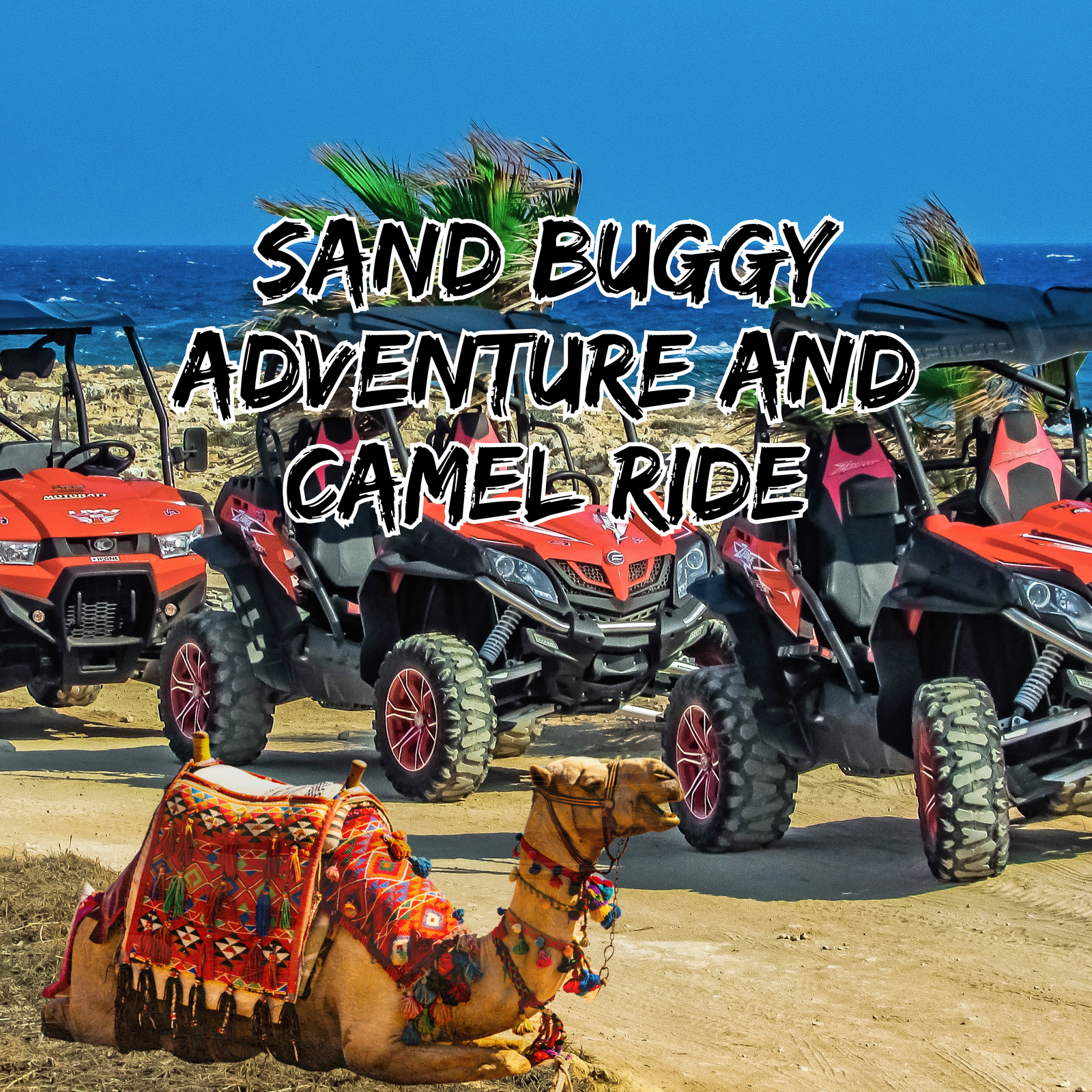 Sand Buggy adventure and Camel Ride