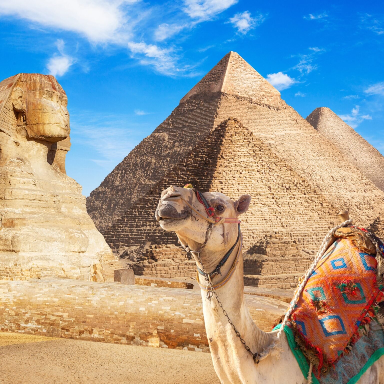 Cairo by bian Joe sharm Travel (9)