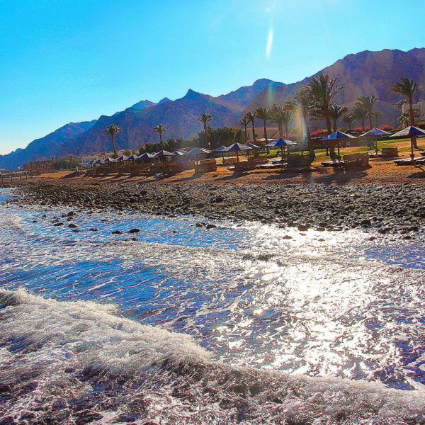 Dahab Joe sharm Travel