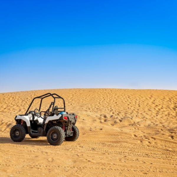 Double Sand Buggy adventure and Camel Ride - Image 8