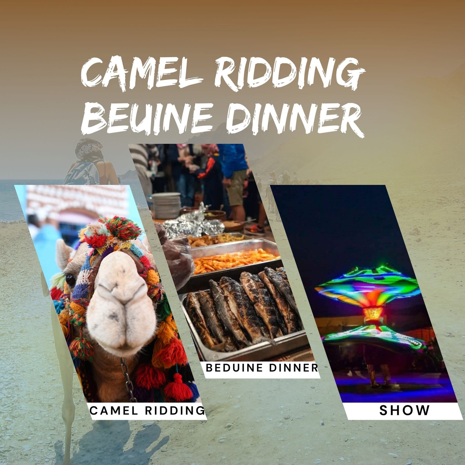 Camel Ridding with Bedwin Dinner