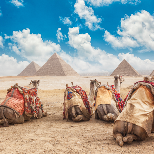 Cairo by bus - Image 3