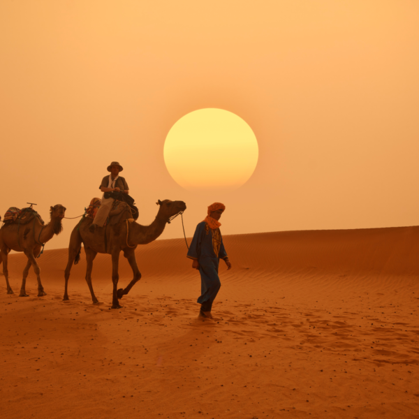 Joe sharm Travel Sand Buggy adventure and Camel Ride