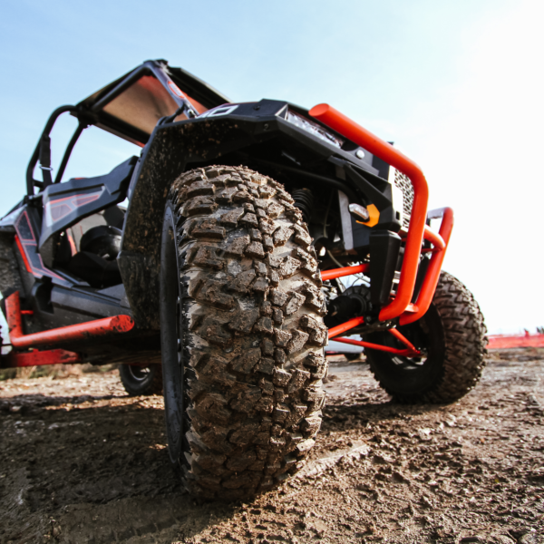 Joe sharm Travel Sand Buggy adventure and Camel Ride
