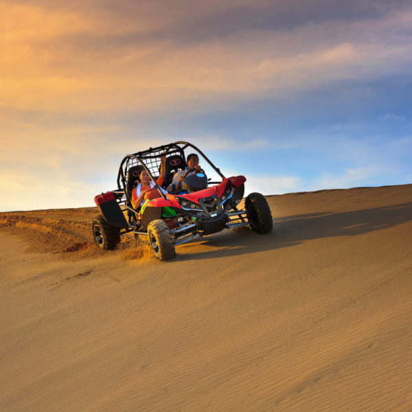 Joe sharm Travel Sand Buggy adventure and Camel Ride