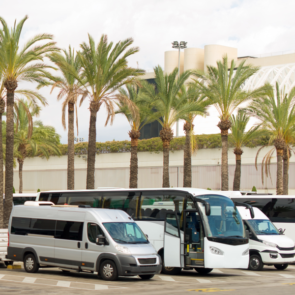 Joe shrarm Travel Transfer in Sharm el Sheikh (airport)