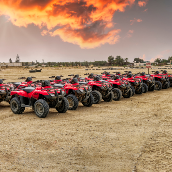 Quad bike Safari adventure and Camel Ride