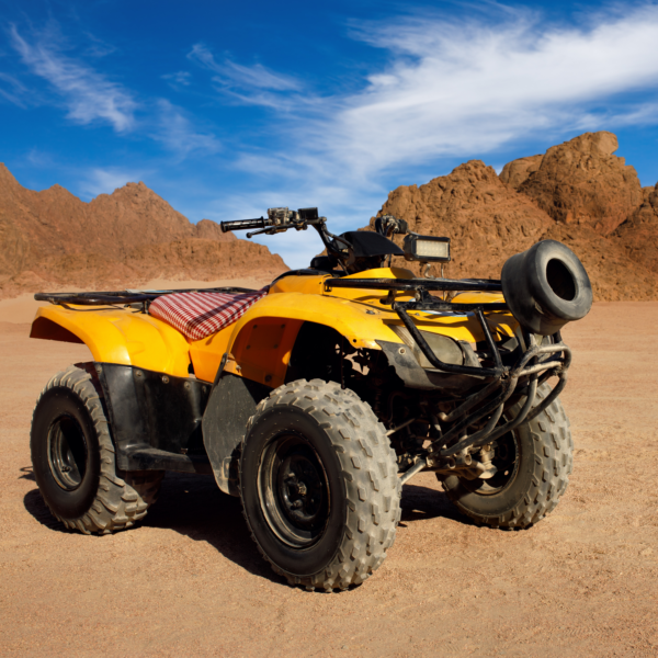 Quad bike Safari adventure and Camel Ride