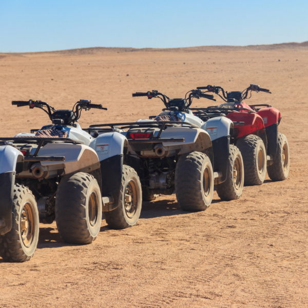 Quad bike Safari adventure and Camel Ride