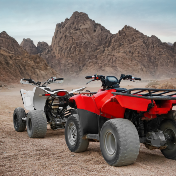 Quad bike Safari adventure and Camel Ride