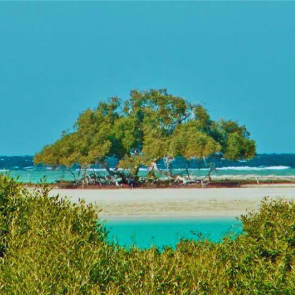 Ras Mohammed National Park by Bus - Image 10