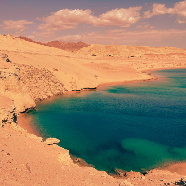 Ras Mohammed National Park by Bus - Image 2