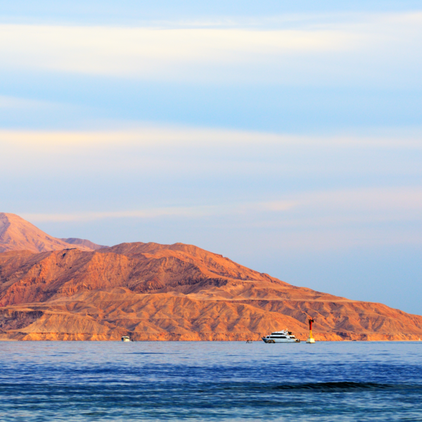 Tiran Island Boat Trip