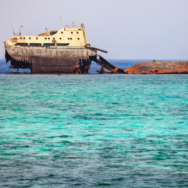 Tiran Island Boat Trip