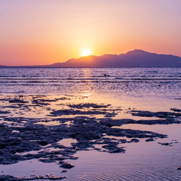 Tiran Island Boat Trip