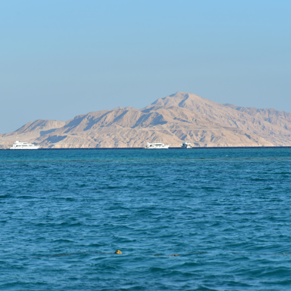 Tiran Island Boat Trip