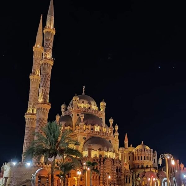 city tour Joe sharm Travel