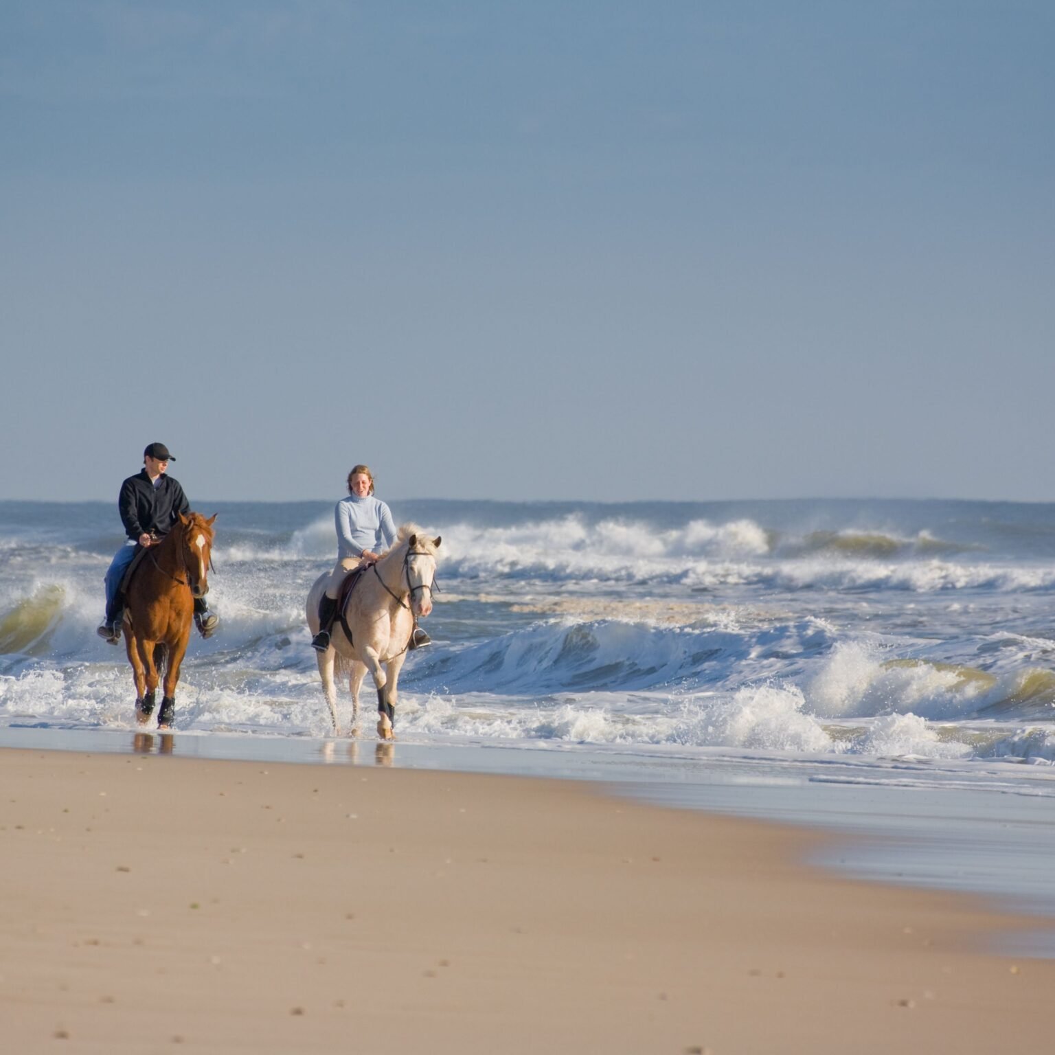 joe sharm travel horse riding sharm elshiekh (4)