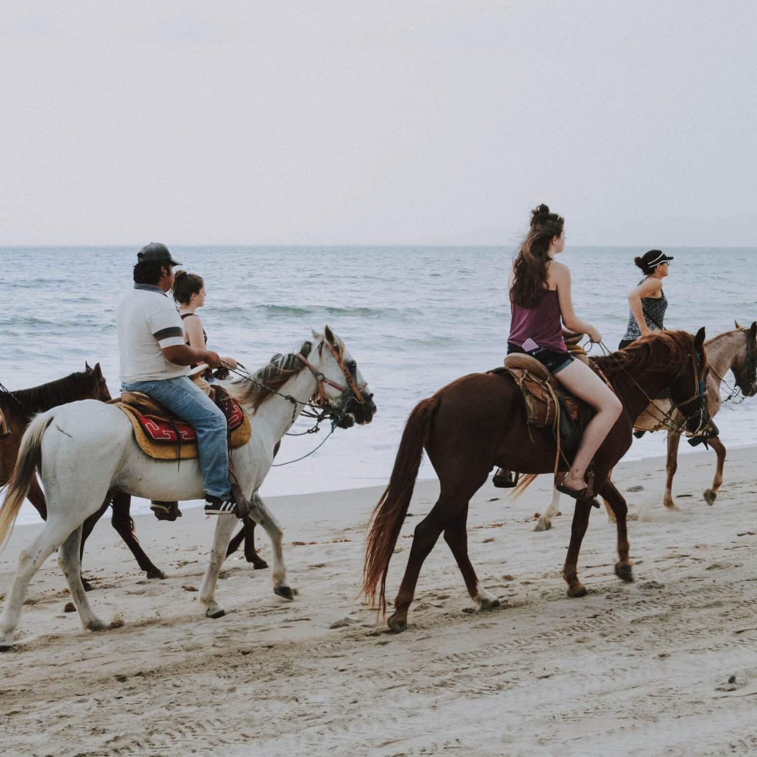 joe sharm travel horse riding sharm elshiekh