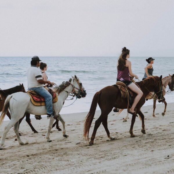 joe sharm travel horse riding sharm elshiekh