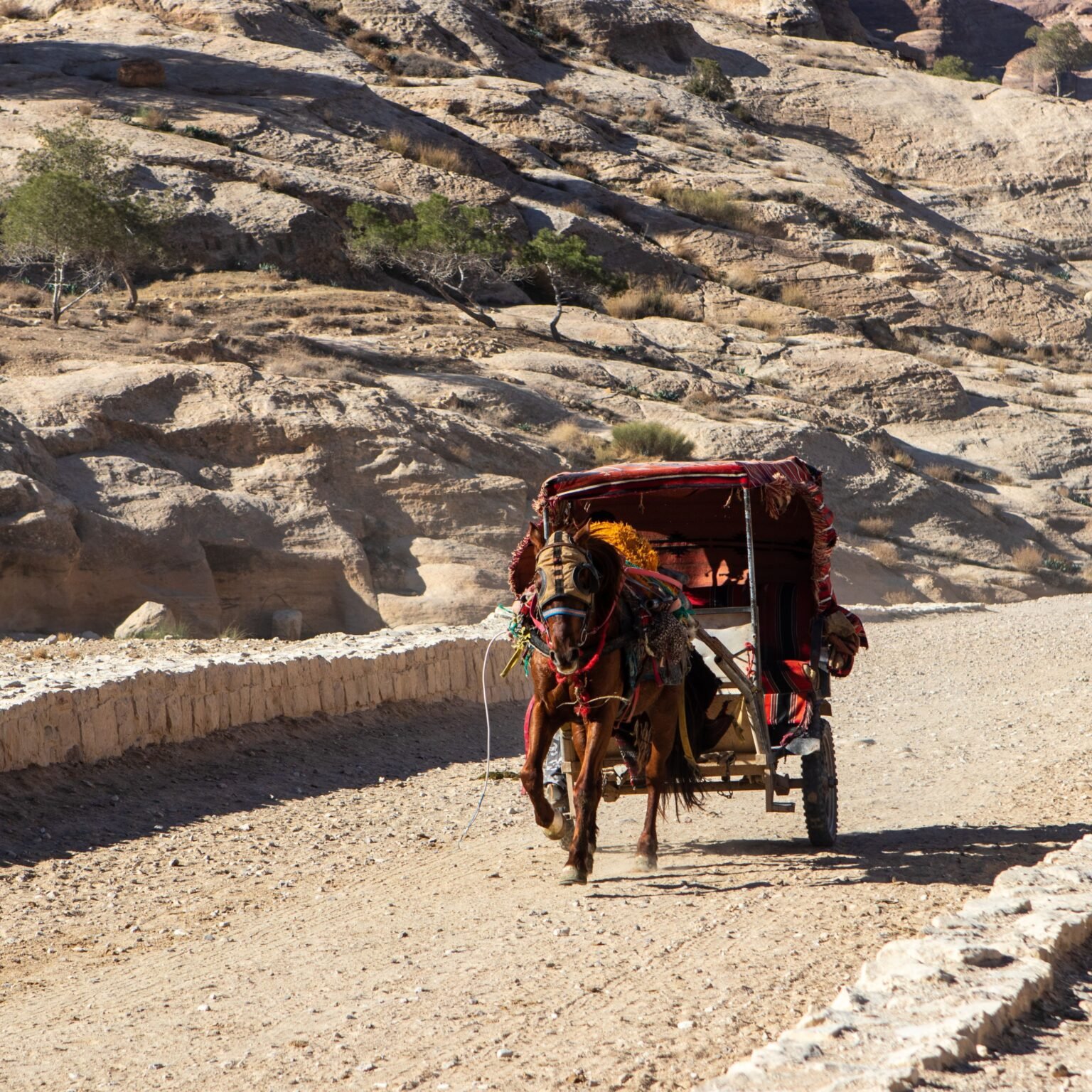 petra Joe sharm Travel