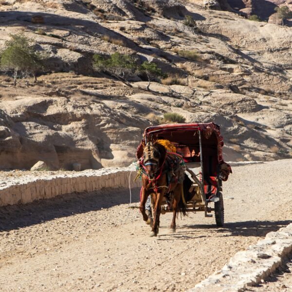 petra Joe sharm Travel