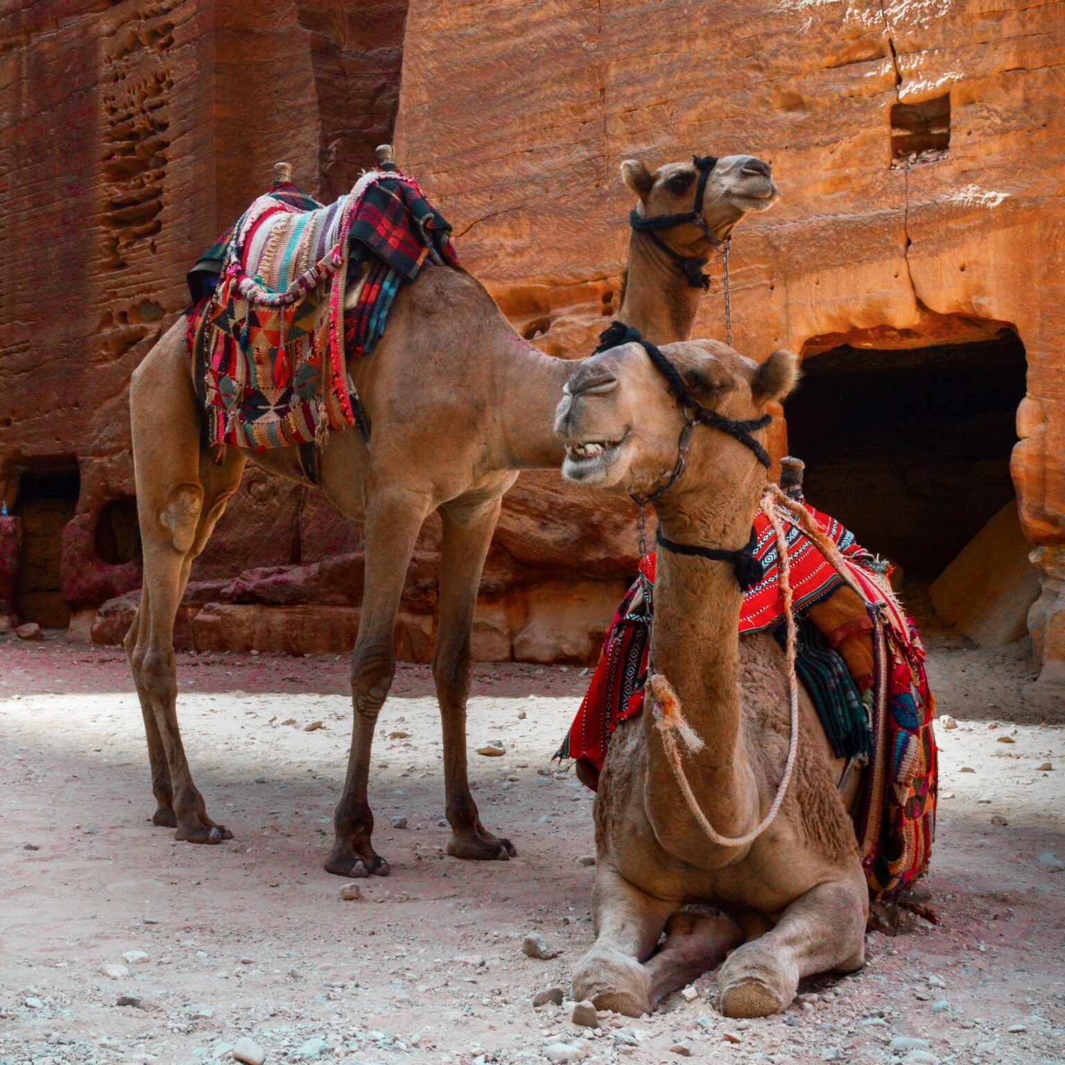 petra Joe sharm Travel