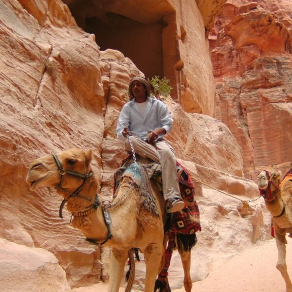 petra Joe sharm Travel