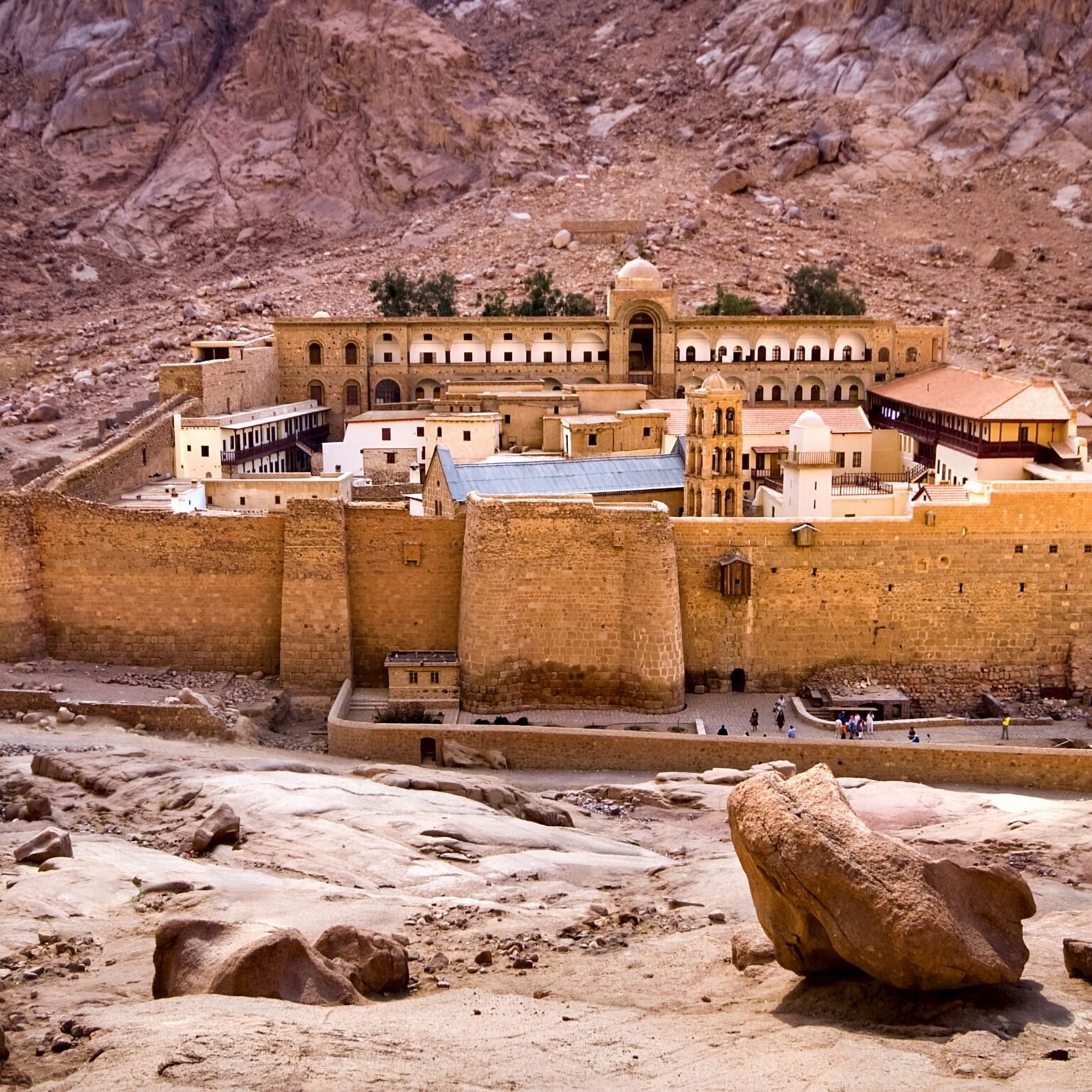 catherine Joe sharm Travel
