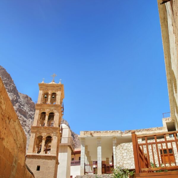 catherine Joe sharm Travel