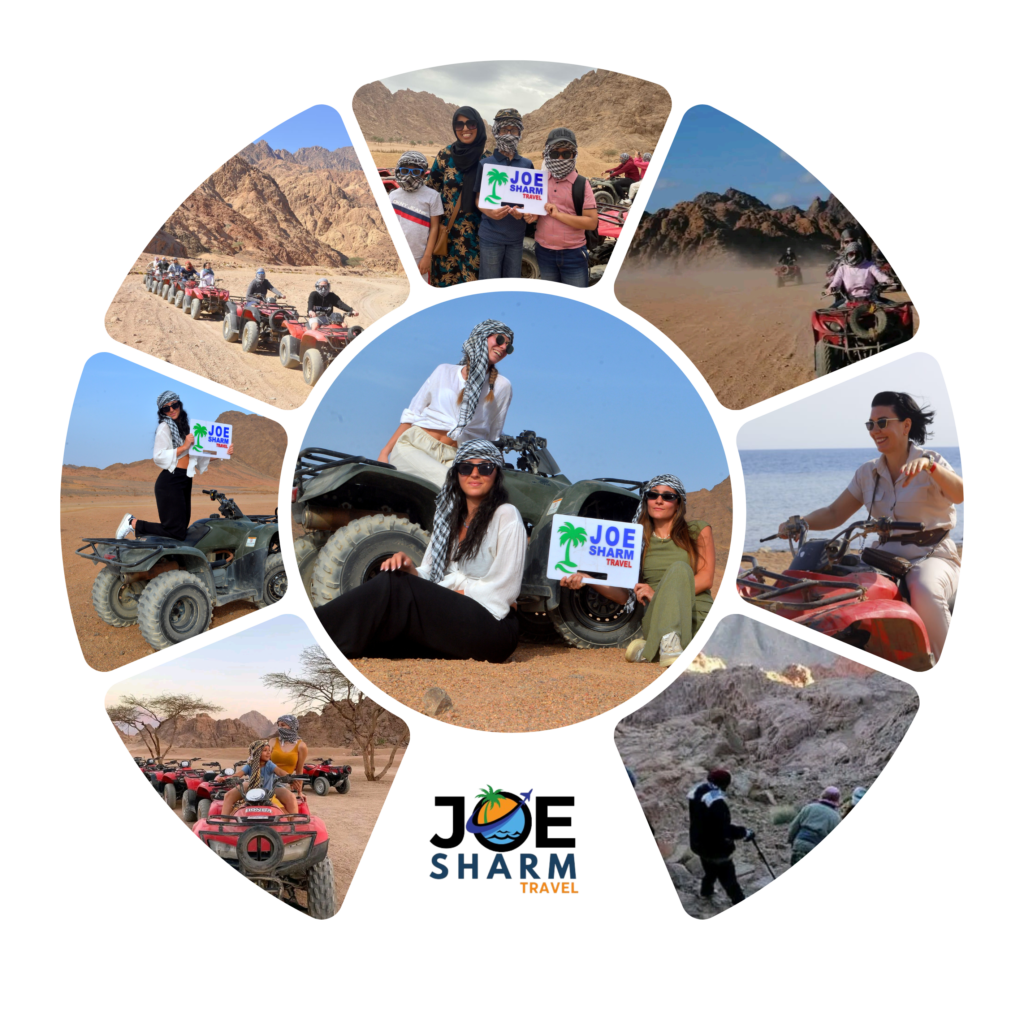 Safari Excursions