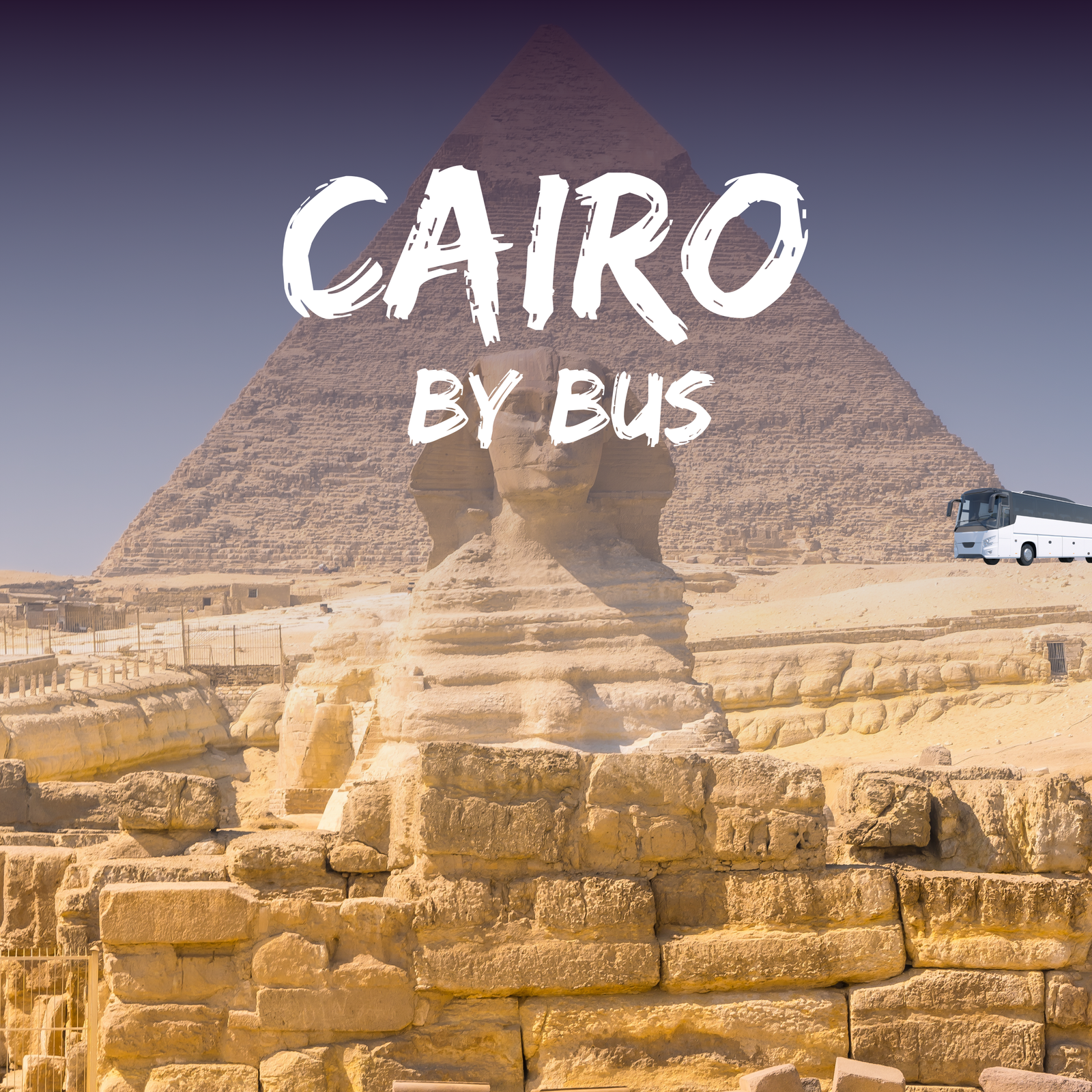 Cairo by bus