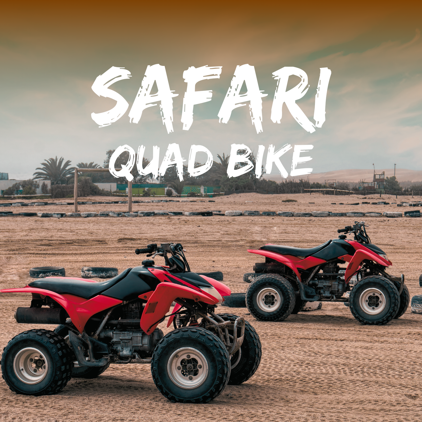 Quad bike Safari adventure and Camel Ride