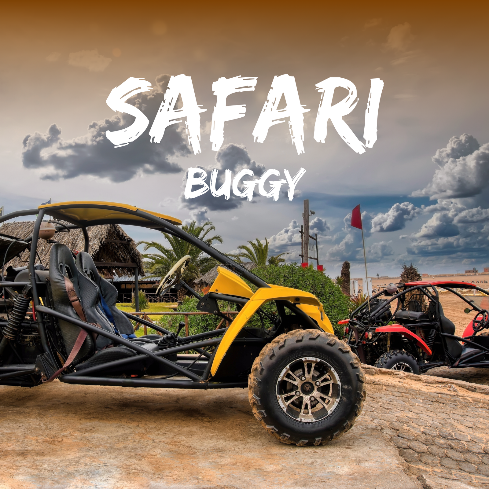 Double Sand Buggy adventure and Camel Ride