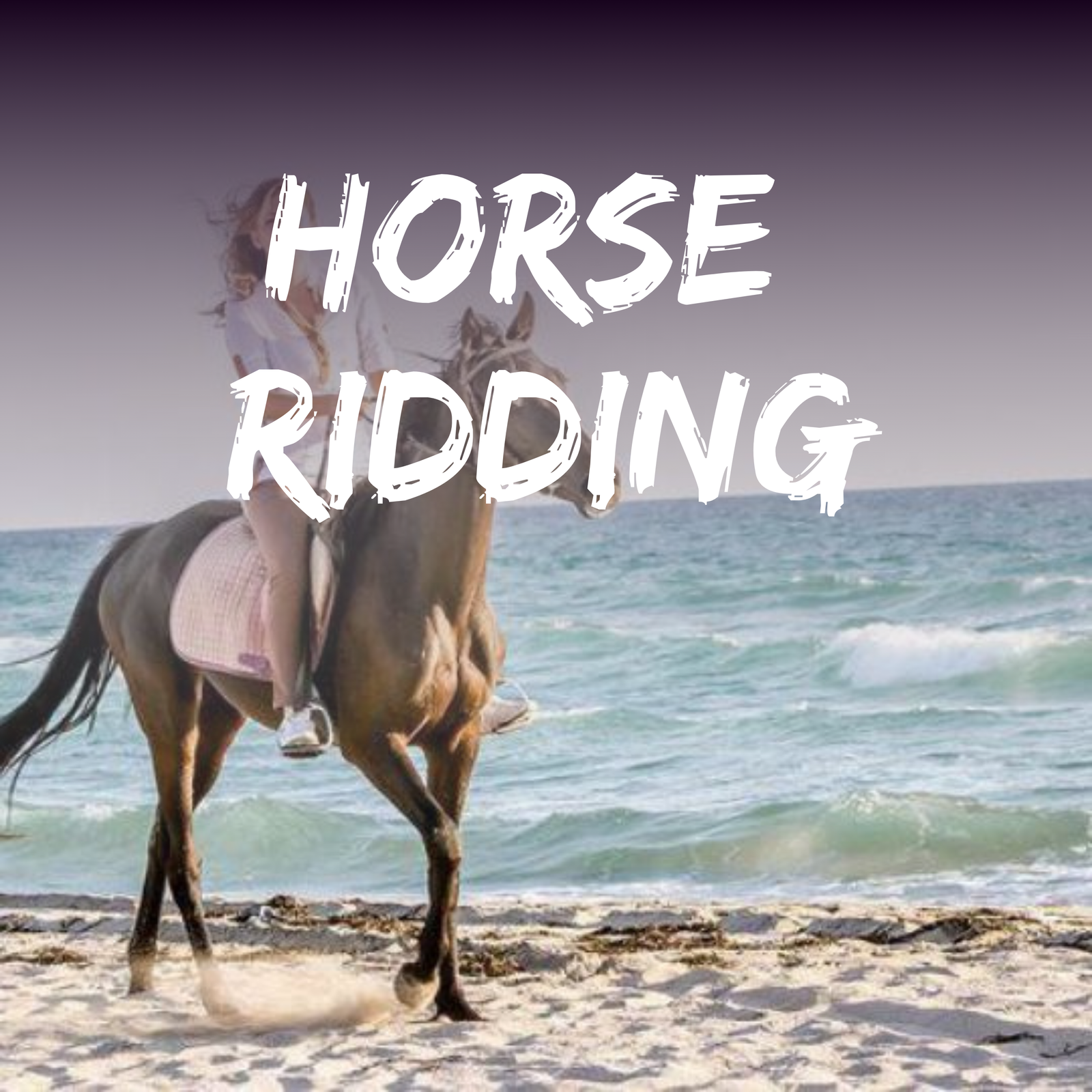 Arabian Horse Riding