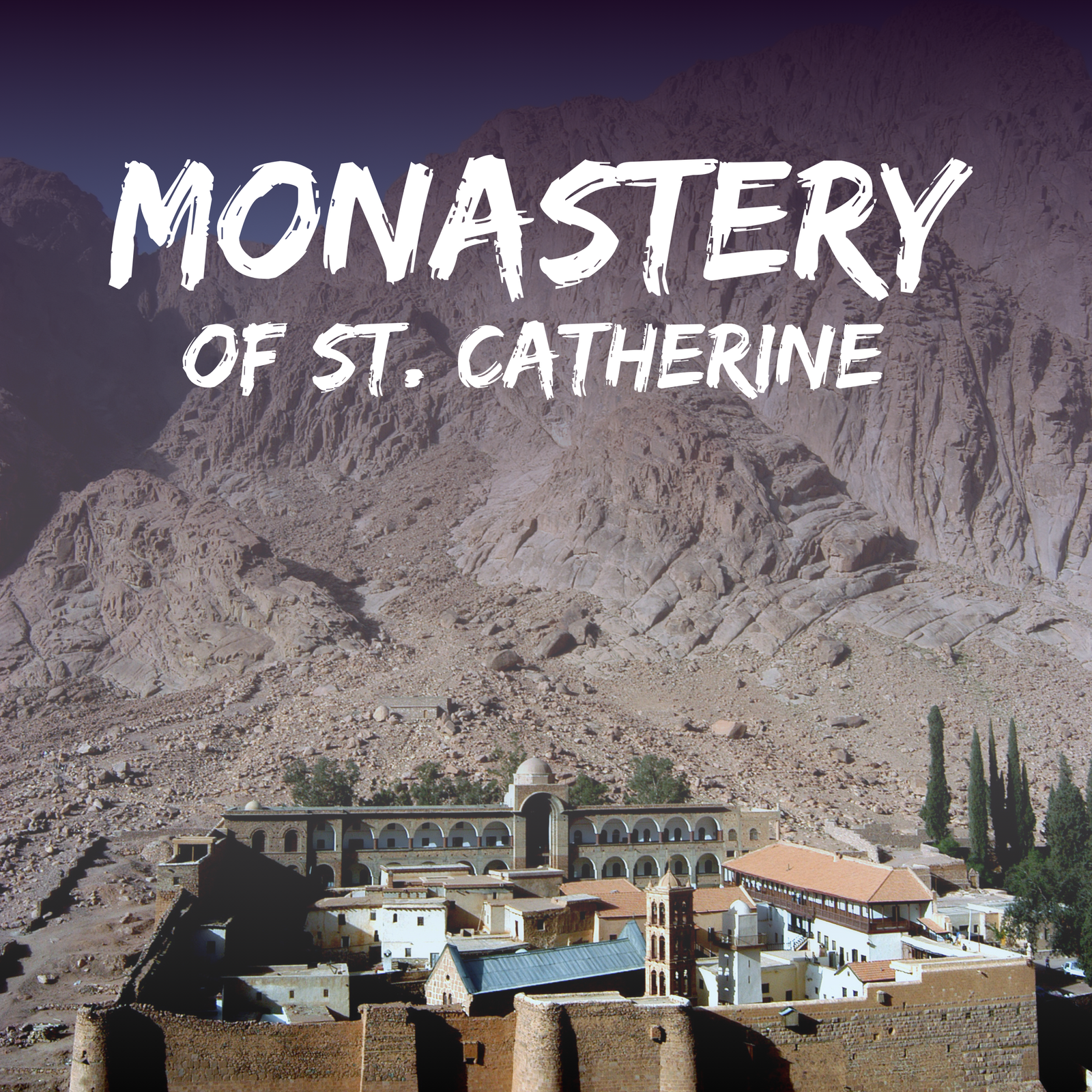 Catherine & Mount Sinai