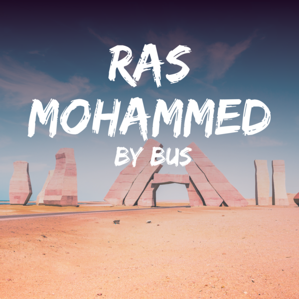 Ras Mohammed National Park by Bus