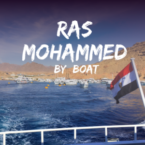 Boat Trip to Ras Mohamed And White Island
