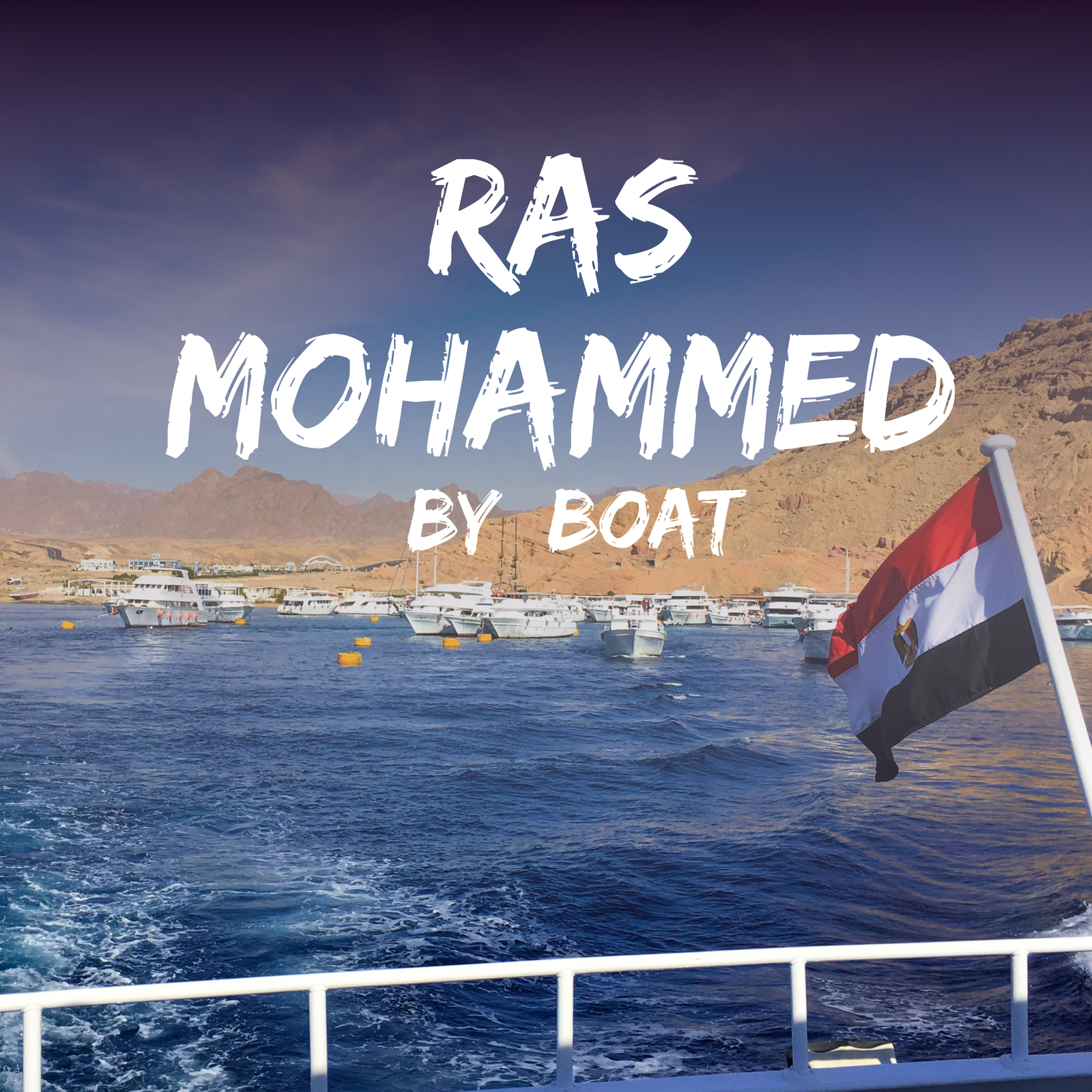 Boat Trip to Ras Mohamed And White Island